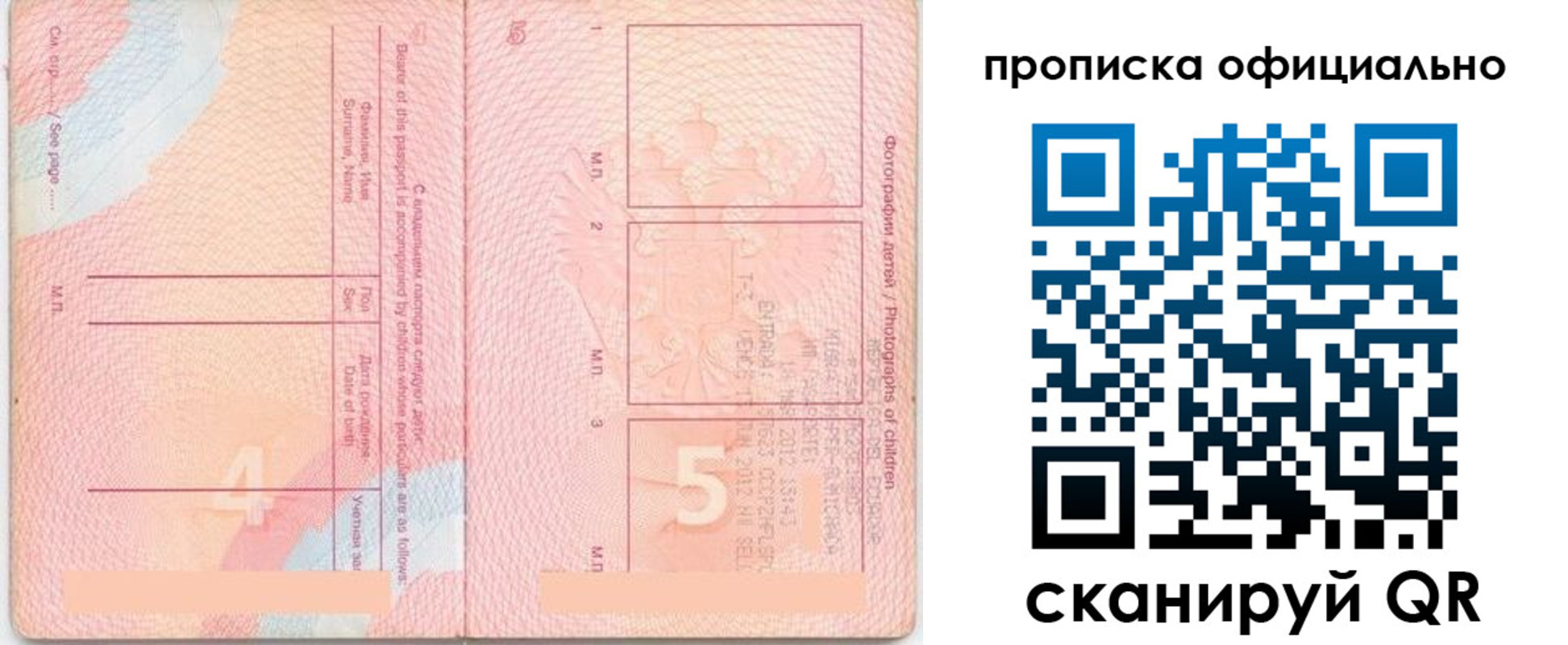 прописка для школы в Новотроицке